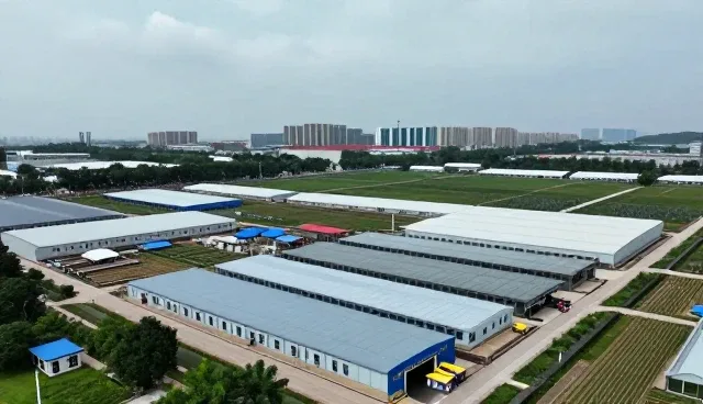 供应链稳定性：商品定制中的常见问题与应对策略
